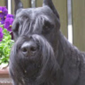 Meet your Posher, Martina